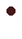 Morada